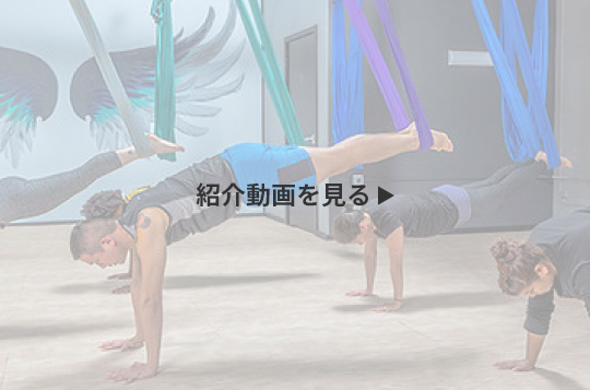 Suspension-Fitness(SFit・サスペンションフィットネス)
